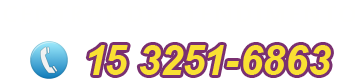 15 3251-6863